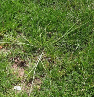 SmartSelect_20210504-223514_Gallery.jpg