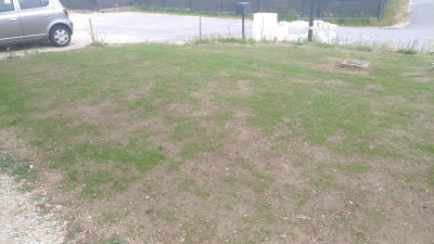 P_20210507_145249_vHDR_On.jpg