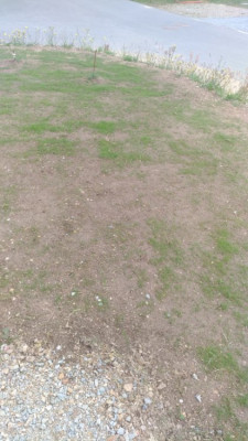 P_20210507_145301_vHDR_On.jpg