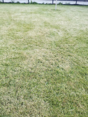 IMG_20210508_211003.jpg