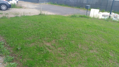 P_20210517_181622_vHDR_On.jpg