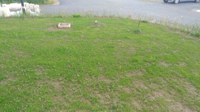 P_20210517_181624_vHDR_On.jpg