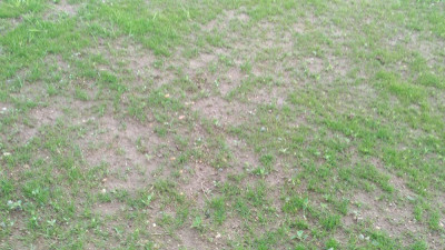 P_20210517_181628_vHDR_On.jpg