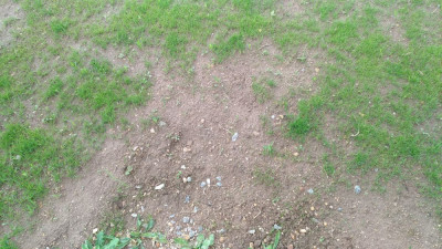 P_20210517_181644_vHDR_On.jpg