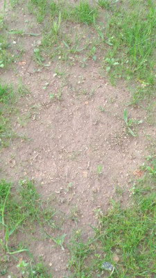 P_20210517_181713_vHDR_On.jpg
