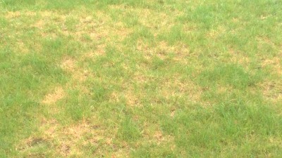 Photos de plus près