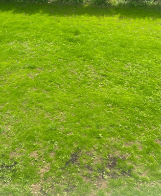 E0DB5195-BA34-4B64-BA7E-7B11BAF2F436.jpeg