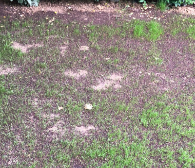 EB365463-F01D-4337-B034-3AB8FBE72388.jpeg