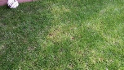 20160622_190650.jpg