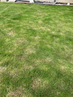 photo 1.jpg