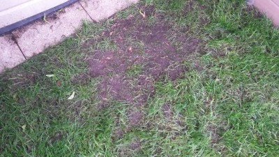 20160622_190656.jpg