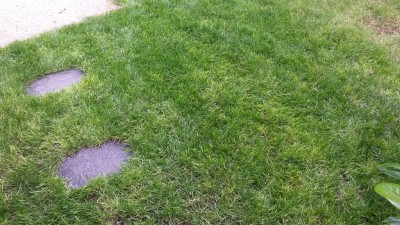 20160622_190715.jpg
