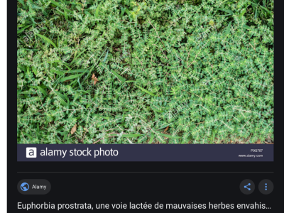 C04C2AA5-D3B9-4E1D-BF6C-1424007E3BF6.png