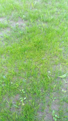 P_20210524_104408_vHDR_On.jpg