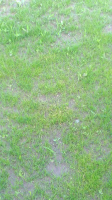 P_20210524_104426_vHDR_On.jpg