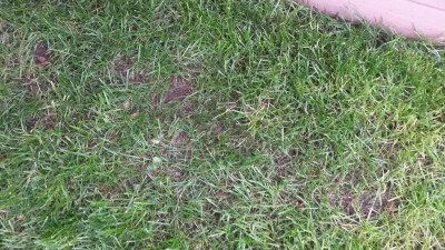 20160622_191330.jpg