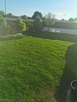 IMG_20210527_201024.jpg