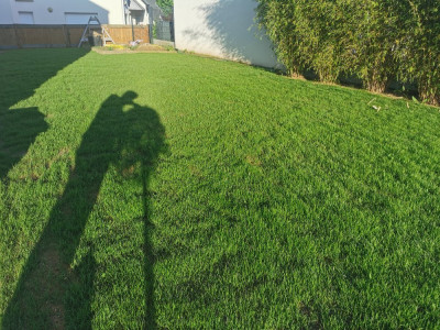 IMG_20210527_201032.jpg