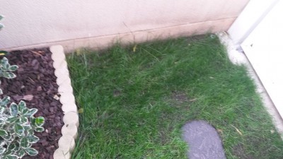 20160622_191549.jpg