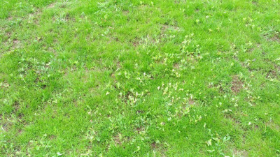 P_20210529_141121_vHDR_On.jpg