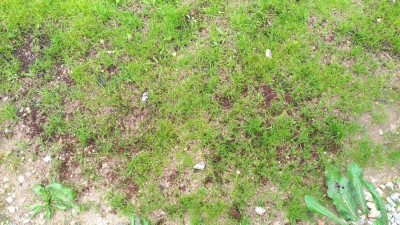 P_20210529_141129_vHDR_On.jpg