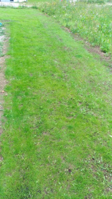 P_20210529_141017_vHDR_On.jpg