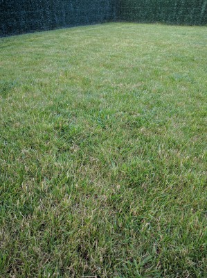 IMG_20160624_194025.jpg