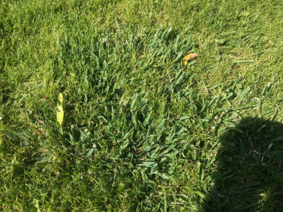 IMG_0979.jpeg