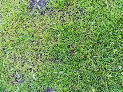 IMG_20210605_212854.jpg