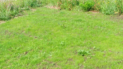 P_20210606_105353_vHDR_On.jpg