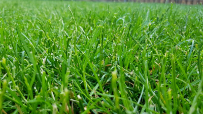 20210606_190507.jpg