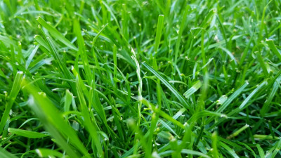 20210606_190547.jpg