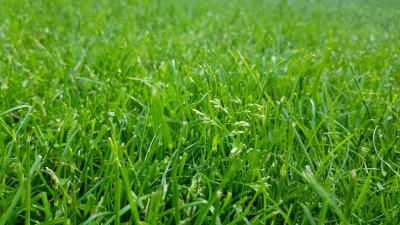 20210606_190646.jpg