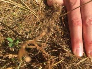 thumbnail_IMG_6545.jpeg