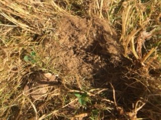 thumbnail_IMG_6546.jpeg