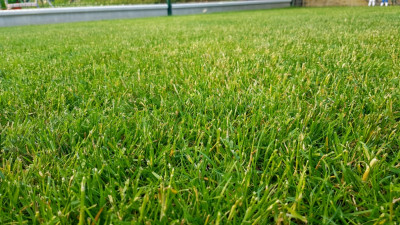 20210614_195538.jpg