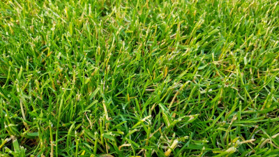 20210614_195534.jpg