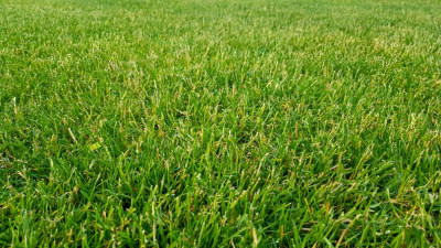 20210614_195529.jpg