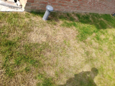 2021-06-15 17.39.48-min.jpg