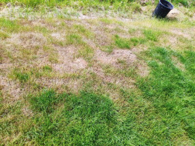 2021-06-15 17.40.06-min.jpg