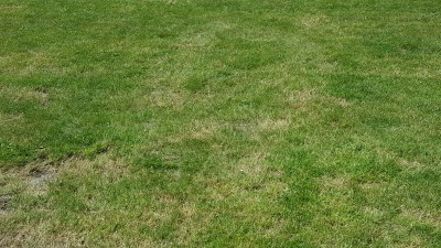 20160626_144000.jpg