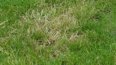 20160626_144027.jpg