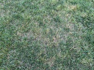 IMG_0004.jpeg