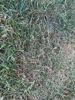 IMG_0006.jpeg