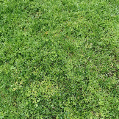 IMG_20210626_184213.jpg