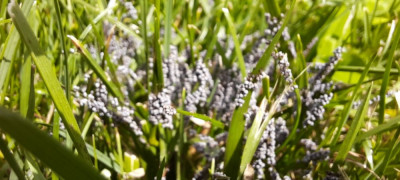 20210701_124622.jpg