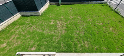 20210702_120405.jpg
