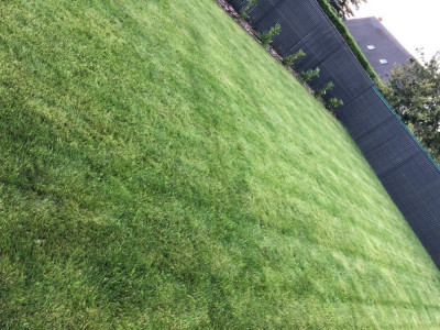 BB547202-2072-4083-A655-6CEE0D9765FF.jpeg