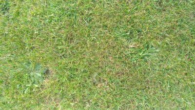 P_20210816_175249_vHDR_On.jpg
