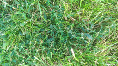 P_20210816_175320_vHDR_On.jpg